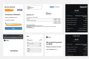 تست ویزا کارت مجازی معین گیفت